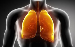 Hút thuốc khiến phổi bị 'nhuộm' đen và sinh bệnh: Cách thanh lọc phổi bạn nên áp dụng sớm