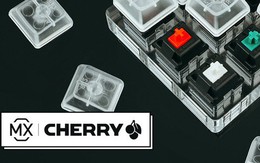 Cha đẻ của phím cơ Cherry và đế chế xây nên từ một nút bấm nhỏ bé