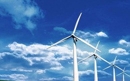 Trà Vinh sắp có dự án điện gió 150 triệu USD