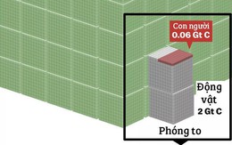 Tất cả sự sống trên Trái Đất được gói gọn vào biểu đồ này: Con người chưa chiếm đến 1%