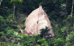 Bộ tộc bí ẩn tại Amazon lần đầu tiên được ghi hình, biệt lập xuyên suốt lịch sử con người