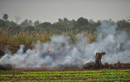 Trung Quốc: Lắp 4339 camera an ninh để ngăn chặn nông dân đốt rơm gây ô nhiễm môi trường
