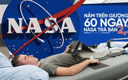 Việc nhẹ lương cao: Chỉ việc nằm trong 60 ngày, NASA trả bạn 2,3 tỷ đồng
