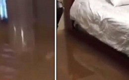 Lụt lội kinh hoàng ở Mỹ, nước ngập tới chân giường