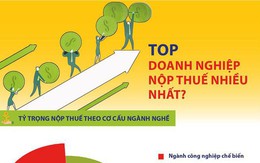 [Infographics] Điều ít biết về Top doanh nghiệp nộp thuế nhiều nhất