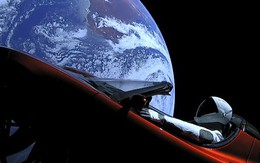 Elon Musk: Chip AI dành cho xe hơi của Tesla nhanh gấp 10 lần chip của NVIDIA