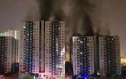 Vụ cháy Carina khiến 13 người tử vong: Bắt giam Trưởng ban quản lý chung cư