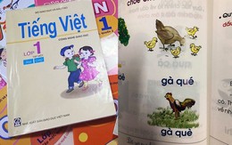 Sách tiếng Việt cho trẻ lớp 1 có nhiều vấn đề sai lệch, phản cảm và sự phản biện của người trong cuộc
