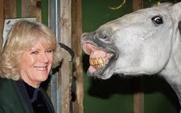 Những khoảnh khắc hài hước của bà Camilla - mẹ chồng thị phi nhất Hoàng gia Anh, đã xem là không thể không cười