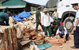 Hàng ngàn thanh gỗ quý hiếm cất giấu tinh vi trong các kiện giấy phế liệu