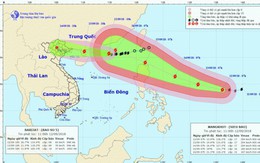 Hải Phòng phát công điện khẩn phòng chống bão số 5