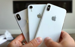 Giá iPhone Xs và iPhone Xr tại VN được tiết lộ: Thấp nhất 22 triệu, cao nhất 43 triệu, bán cuối tháng 10
