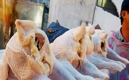 Đề xuất cấm nhập gà không đầu, không chân... vào Việt Nam