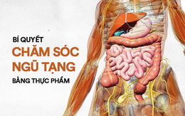 Thuốc bổ không bằng thực phẩm bổ: Cách chăm sóc ngũ tạng tốt nhất giúp bạn sống thọ hơn