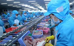 Hoa Kỳ kết luận sơ bộ rà soát thuế chống bán phá giá với cá tra Việt