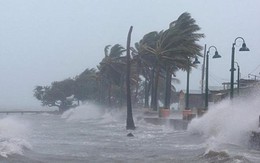 Quảng Ninh được dự báo là tâm điểm siêu bão Mangkhut đổ bộ