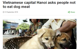 Góc nhìn thú vị của nhiều báo lớn quốc tế về vấn đề ăn thịt chó tại Việt Nam