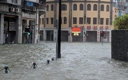 Macau lần đầu đóng cửa toàn bộ 42 sòng bạc, 'cắn răng' chịu mất tiền vì bão Mangkhut