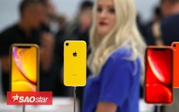 iPhone Xr có phiên bản màu san hô, thế nhưng màu san hô là màu gì?