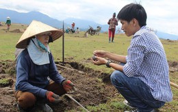 Người dân Phú Yên đổ xô đào đá đen bán giá 4 triệu đồng/kg