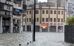 Hơn 200 người tại Hồng Kông bị thương do bão Mangkhut