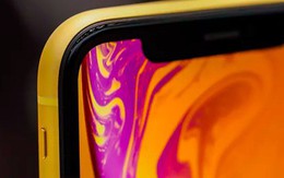 Chẳng ai biết chữ 'R' trong iPhone Xr có nghĩa là gì nhưng cách giải thích này sẽ khiến bạn phải công nhận là đúng