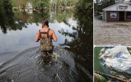 Bên trong làn nước lũ sau siêu bão Florence, người dân Đông Mỹ đang phải chịu đựng những mối nguy hiểm chết người