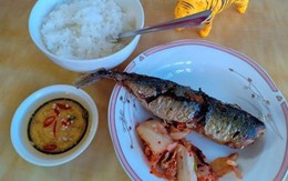 Đang bữa cơm chồng rủ vợ con đi sở thú, mẹ chồng ở bên liếc xéo "nhà có con cọp rồi, cần gì đi đâu"