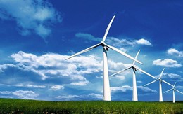 Thu hồi dự án nhà máy điện gió gần 3000 tỷ đồng
