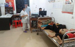 Nghệ An: Bị ong rừng đốt, 7 người nhập viện cấp cứu