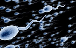 Có nên làm đẹp da bằng tinh trùng đàn ông?