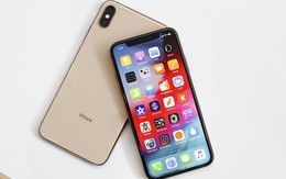 DisplayMate: iPhone XS Max là smartphone có màn hình tốt nhất từ trước đến nay