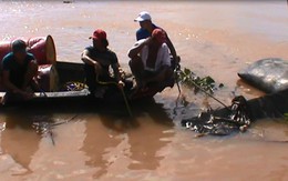 Cát tặc chống đối, nhấn chìm ghe khi bị bắt quả tang đang khai thác cát lậu trên sông Đồng Nai