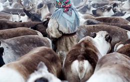 [PHOTO STORY] Những người phụ nữ bị bỏ quên ở Siberia