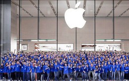 Bằng đại học ở Apple và Google là không cần thiết, thậm chí họ thích kinh nghiệm hơn cả bằng cấp