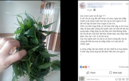 Mua được ít chè vằng lợi sữa, chưa kịp dùng đã bị mẹ chồng lấy cho con gái, nàng dâu bức xúc thì bị mắng thêm