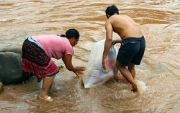 Phó Chủ tịch tỉnh Điện Biên: Học sinh chui vào túi nylon để qua suối đến trường "phản cảm quá"