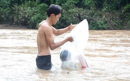 Chánh Văn phòng Sở GD-ĐT phải gỡ status viết "chuyện chui túi nilon đi khai giảng là bịa"