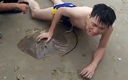 Đau đớn tột cùng: Đang bơi ngoài biển, thanh niên bất ngờ bị cá đuối chích vào vùng kín