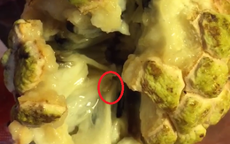 Nàng dâu tức giận tố mẹ chồng cho cháu ăn quả na có giòi, chị em đã chẳng bênh còn trách thêm vì điều này