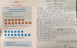 Học sinh "đọc chữ ô vuông, tam giác": GS Nguyễn Lân Dũng nói có sự logic về mặt sư phạm