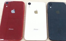 Ảnh rò rỉ tiết lộ iPhone 9 sẽ 3 phiên bản màu là trắng, xanh biển và đỏ, có cả khay hỗ trợ 2 SIM