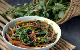 Loại rau có nhiều lợi ích sức khỏe được tận dụng ở Trung Quốc từ rất lâu, không ngờ ở Việt Nam lại mọc đầy vườn