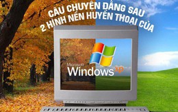 Câu chuyện trái ngang đằng sau 2 hình nền huyền thoại của Windows XP