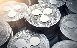 Nhà đồng sáng lập của Ripple trở thành tỷ phú giàu thứ 15 ở Mỹ