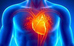 Những hành vi gây tổn thương tim khiến nhiều người đột tử: Ai cũng nên biết trước để tránh