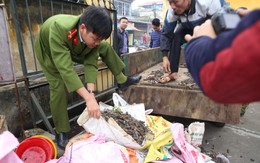 Đang điều tra một số cá nhân thuộc Binh chủng Công binh liên quan đến vụ nổ ở Bắc Ninh