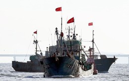 Tàu cá Trung Quốc đâm tàu cảnh sát biển Hàn Quốc