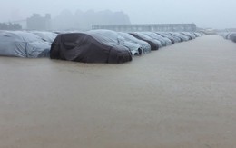 Hyundai Thành Công 'tháo kho, xả hàng' nghìn xe i10, Santafe bị ngập nước?