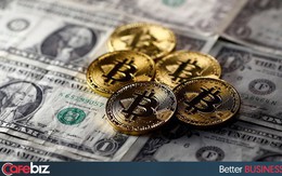 Mặt tối 'chơi tiền ảo': 1/5 nhà đầu tư đi vay tiền để 'đánh Bitcoin' và cứ 4 người thì có 1 người không thể trả nổi nợ!